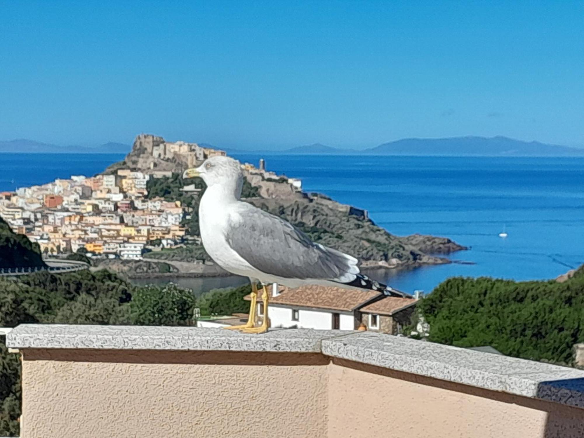 bella vista Lägenhet Castelsardo Exteriör bild